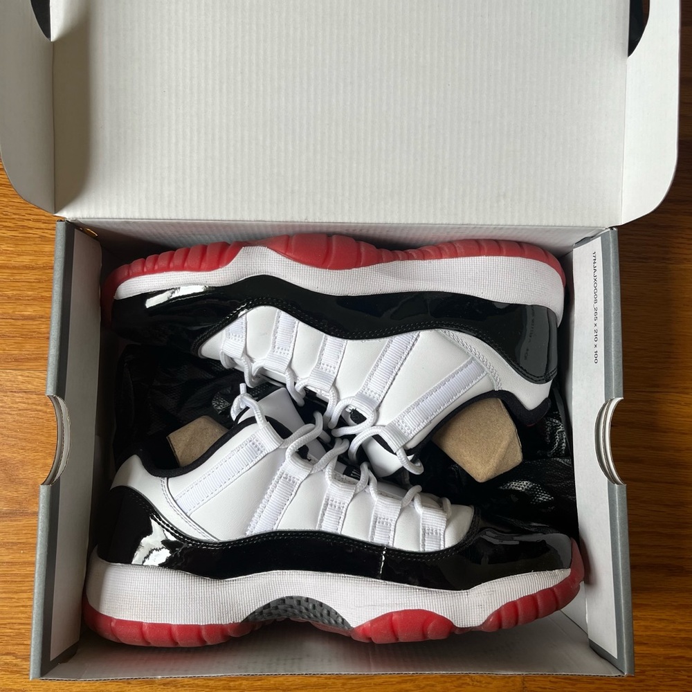 Jordan concord bred 11s